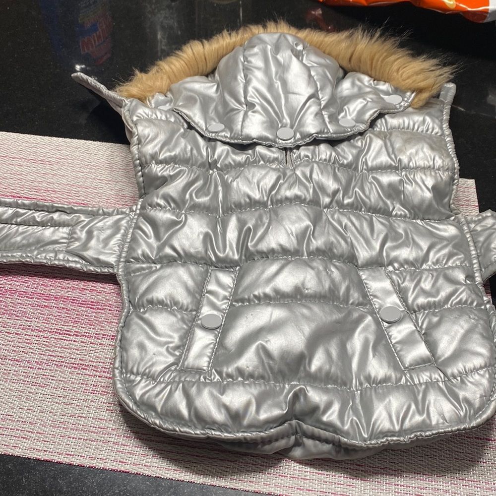 Fab dog size small silver parka with fur collar